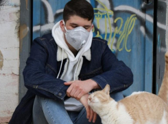 В СКФО количество заболевших CoVID-19 превысило 180 тысяч человек