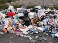 Ликвидацию стихийных свалок обязали провести администрацию Минвод