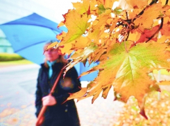 Холод и туман ждут жителей Ставрополя в четверг