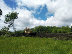 В урочище Мутнянка в Ставрополе бульдозерами сносят деревья