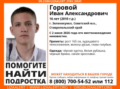 Пропавшего 16-летнего мальчика объявили в розыск в Зеленокумске