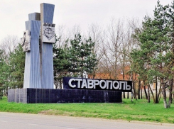 На въезде в Ставрополь вырубили молодые сосны и построили пивнуху, - активист