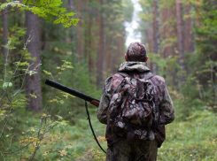 Охотники на Ставрополье промышляли на особо охраняемых территориях с попустительства минприроды