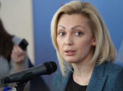 Политолог Дмитрий Фетисов раскритиковал деятельность депутата Госдумы от Ставрополья