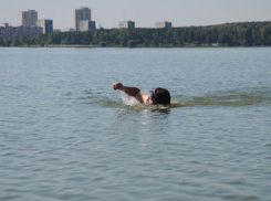 В Невинномысске утонул мужчина, пытавшийся переплыть пруд