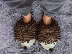 Директор 1 школы Ставрополя устроила «тапкин день» 