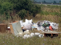 Власти упорно игнорируют безобразную свалку в санитарной зоне федерального курорта на Кавминводах
