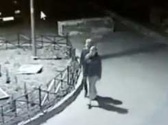 В Ставрополе полицейские нашли воровок 25 саженцев туй
