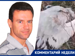Более семи лет уйдет на восстановление поголовья отравленной дичи на Ставрополье — ученый Михаил Ильюх