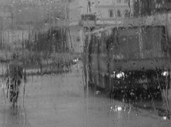 Дождь и туман ждут в понедельник жителей Ставрополья 