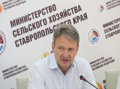  Сенсационное заявление об обрушении российского рынка молока сделал министр сельского хозяйства в Ставрополе