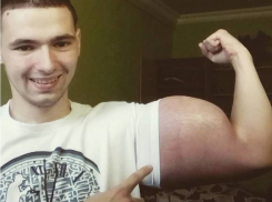 «Король синтола» из Пятигорска вдобавок к рукам собирается раскачать и ноги