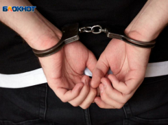 Жителя Ставрополя подозревают в интимных переписках с 29 детьми от 8 до 12 лет со всей России