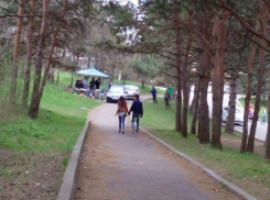 В Пятигорске водители устроили пикник в курортном лесу