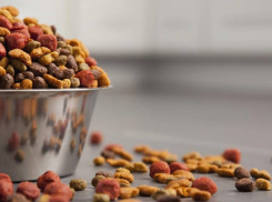 Корм для питомцев будут производить в Ставрополе