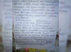 «Хотела искренне помочь просящим, а меня обложили «трехэтажным» матом», - ставропольчанка о фейковом объявлении 