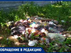 «Рядом с жилыми домами творится непонятно что и всем плевать на ситуацию», - ставропольчанка о состоянии леса