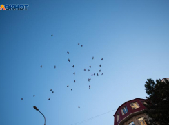 Дожди и +5 градусов ночью пообещали в начале рабочей недели синоптики на Ставрополье