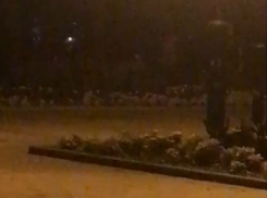 Нетрезвые мужчина и женщина, расхищающие клумбы в Пятигорске, поразили горожан