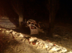 «Лада» врезалась в дерево и загорелась около Ставрополя