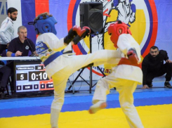 Медали вручили Дед Мороз и Снегурочка: в Ставрополе прошли краевые соревнования по рукопашному бою