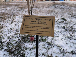 Власти Ставрополя отказались называть сквер в честь Горбачева