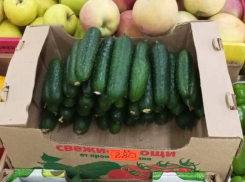 Овощной фронт наступает: как на Ставрополье изменились цены на продукты за неделю 