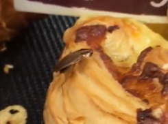 Тараканы бегали по витрине с булочками и попали на видео в Ставрополе 