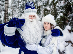 Стало известно, во сколько обойдутся Дед Мороз и Снегурочка жителям Ставрополья 