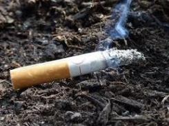 Незатушенную сигарету оценили в 300 часов исправительных работ