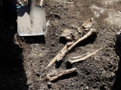 Ставропольские археологи нашли древнее погребение скифов