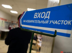 Выборы для чайников: как избирком «нарезал» Ставрополье на одномандатные округа