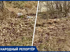 «Не убирались больше месяца»: горожане возмущены состоянием улиц в Ставрополе