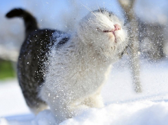 По-зимнему холодно будет в Ставрополе в четверг 