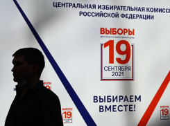 Выборы для чайников: что за люди собрались в Госдуму?