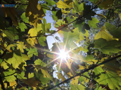 Штормовое предупреждение из-за жары до +40 градусов объявили на Ставрополье