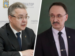 Экс-министр образования Ставрополья Козюра ушел работать в правительство