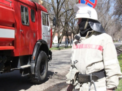 Дерево «взяло в заложники» молодого человека на Ставрополье