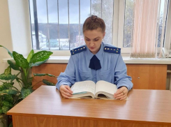 Незаконно сбывавших вейпы на 26 миллионов коммерсантов осудили на Ставрополье