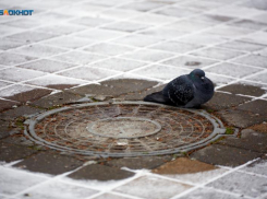 Гололед и туман ожидаются на Ставрополье 23 марта