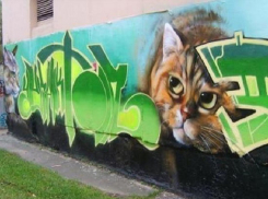 Уличным художникам заплатят за оригинальные рисунки на заборах в Ставрополе