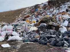 На Ставрополье нелегальный мусорный бизнес обернулся уголовными делами