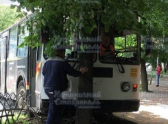 Пассажир избил водителя троллейбуса и спровоцировал ДТП в Ставрополе, - очевидцы 