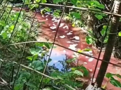 «Кровавая» река в районе кожзавода возмутила жителей Ставрополя