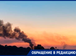 Дым от горящих свиных туш в разгар африканской чумы заметили ставропольцы