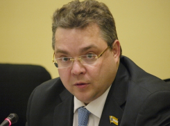 Губернатор Владимир Владимиров просит отозваться многодетную семью, лишившуюся земли