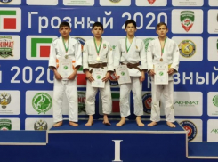 Ставропольские дзюдоисты стали призерами первенства СКФО