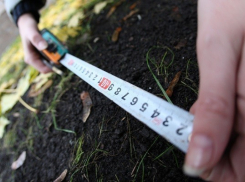 Борьба за землю разгорелась в районе Ставропольского края