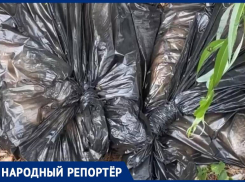 Пакеты с мертвой рыбой встречают посетителей Новопятигорского озера