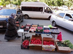 В Ставрополе за полгода изъяли 13 тонн продукции и оштрафовали торговцев на 1,8 миллиона